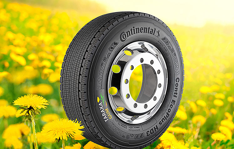 dandelion-truck-tyres